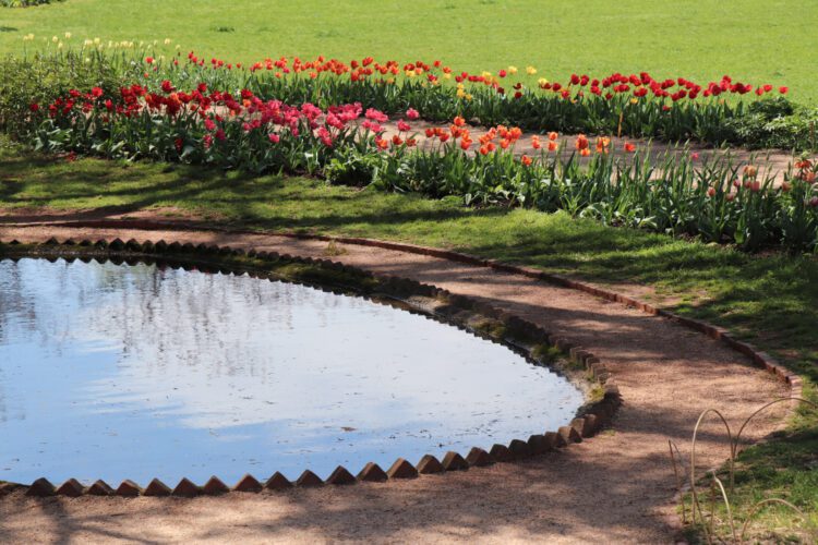 Thomas Jefferson's Garden Image